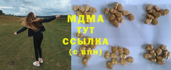 индика Володарск