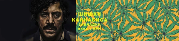 индика Володарск