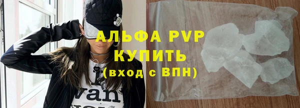 индика Володарск
