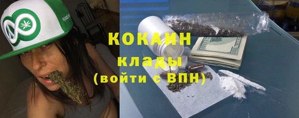 индика Володарск