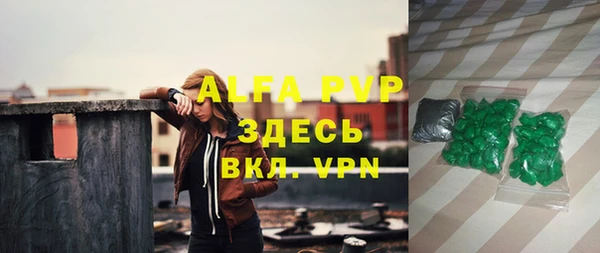 индика Володарск