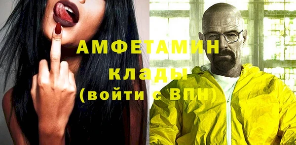 индика Володарск
