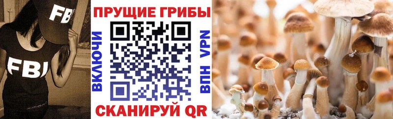 как найти закладки  Калининград  Галлюциногенные грибы мухоморы 